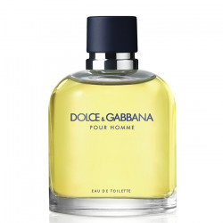 Dolce Gabbana Homme Edt